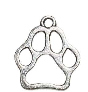 Charm 13